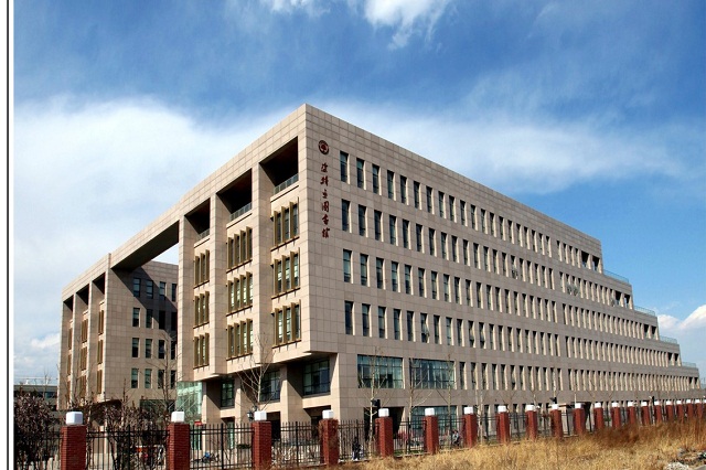 the library